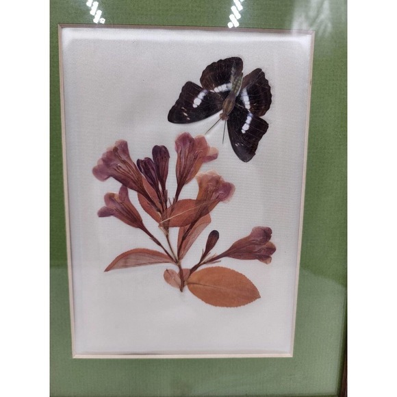 Vintage Pressed Flower Pictures By Elsie Kraft for Belart/Nature Incentives USA - Picture 3 of 11